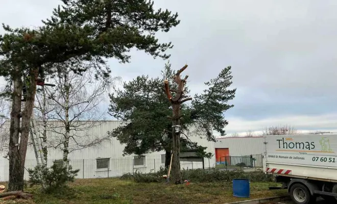 Travaux d'élagage, Tignieu-Jameyzieu, ENTREPRISE Thomas SARL